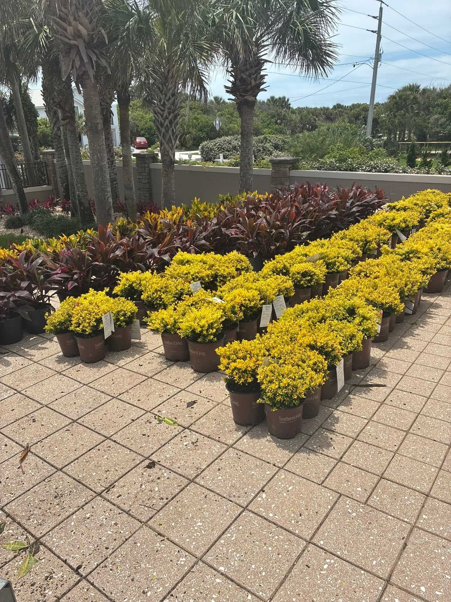 719224030 122107631049301208 4040558627418301865 n